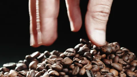 Hand touching roasted coffee beans Stock Footage 194805582