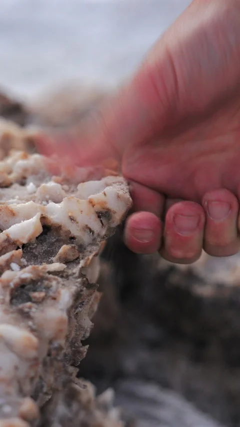 Hand Touching Salt Formations at Devils Golf Course in Death Valley National. Stock Footage 342942230