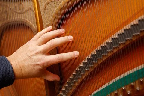 A hand is touching the strings of a piano Stock Photos