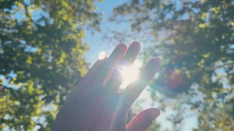 Hand touching the sun, sunlight passing through fingers, forest at sunset, close Stock Footage 300490521