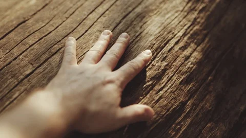 Hand Touching Tree Stock Footage 93132294