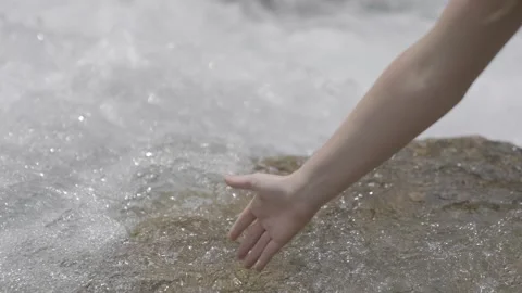 Hand touching water in the forest river lake travel enjoying nature life concept Stock Footage 147139224