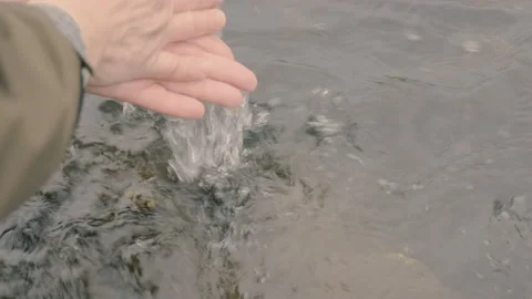 Hand touching water in the forest river Stock Footage 164984599