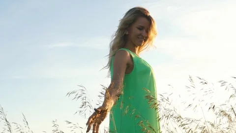 Hand touching wheat spikes with her hand at sunset in meadow grass Stock Footage 78684191