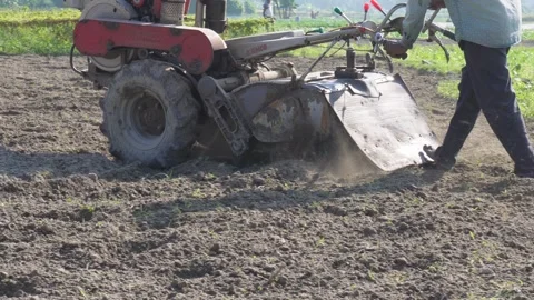 Hand tractor making ready soil for farming, Tractor for farming Stock Footage 291507088