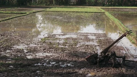 Hand tractor for plowing farm fields Stock Footage 209125272