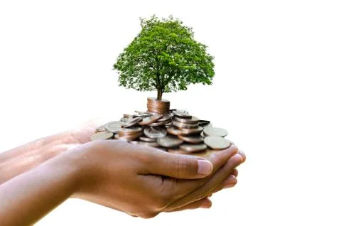 Hand tree Coin Isolate hand Coin tree The tree grows on the pile. Saving mone Stock Photos