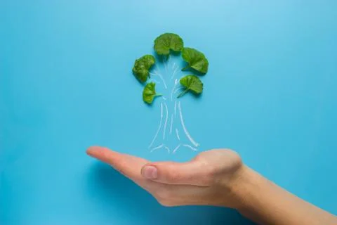 Hand with tree decrease global warming Stock Photos