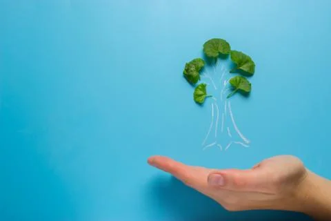 Hand with tree decrease global warming Stockfoto's