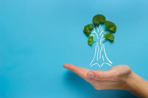 Hand with tree decrease global warming Stock Photos