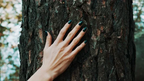 Hand on a tree. Stock Footage