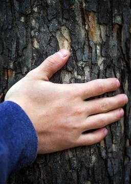 Hand on the Tree Stock Photos