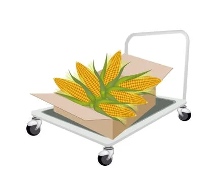 Hand Truck Loading Fresh Corns in Shipping Box Stock Illustration