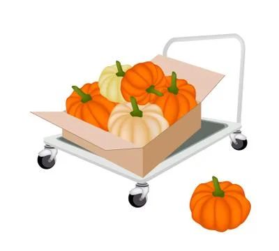 Hand Truck Loading Pumpkins in Shipping Box Stock Illustration