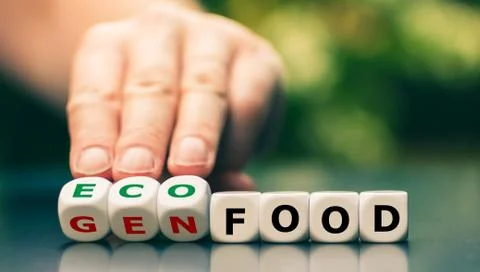 Hand turns dice and changes the expression "GEN Food") ("genetic modified foo Stock Photos