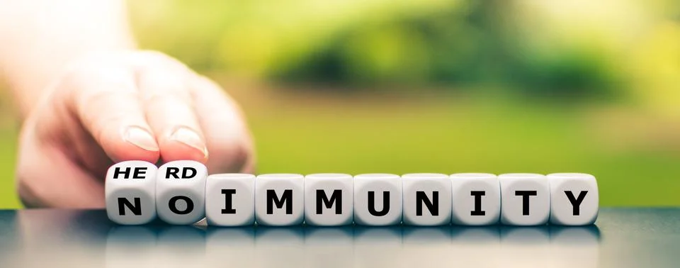 Hand turns dice and changes the expression "no immunity" to "herd immunity". Stock Photos