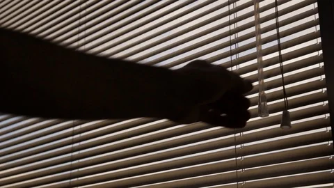 Hand twisting window blinds open Stock Footage 87831626