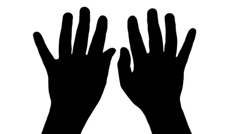 Hand typing top view silhouette isolated on white Stock Footage 74908661