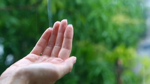 Hand under the rain, rainwater close-up. Woman putting her hand out to feel r Stock Footage 87753767