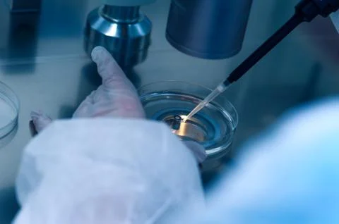 Hand of an unidentified laboratory assistant Stock Photos