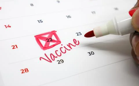 A hand uses a red marker to highlight a vaccine appointment date on a perso.. Stock Photos