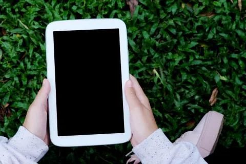 Hand using blank screen tablet over green grasses background Stock Photos