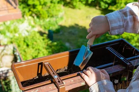 Hand using garden shovel in balcony flower box 写真素材