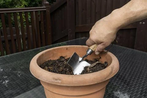 Hand using garden trowel to dig compost in terracotta pot Stock Photos