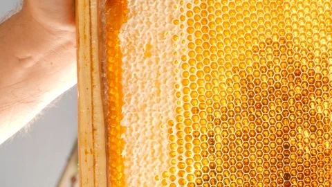 Hand using a knife to clog the honeycomb with honey 스톡 동영상 87694373