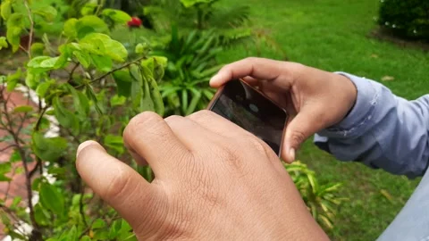 Hand using phone taking photo. Stock Footage 140953717