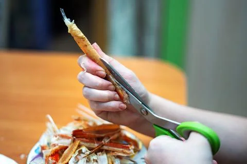 Hand using scissors to cut a segment of cooked crab's limb to extract meat... Foto stock
