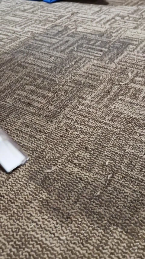 Hand Using Vacuum Hose Attachment to Clean Patterned Carpet in Home Office Stock Footage 339081105
