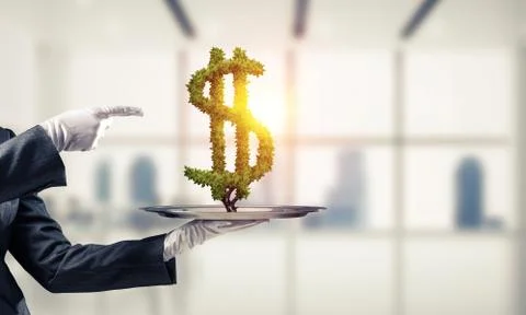 Hand of waitress presenting dollar sign on tray. Stock Photos