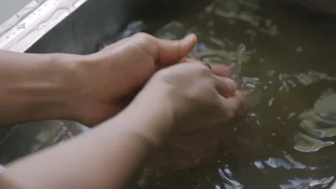 Hand washes and clean raw fresh cockles. Video stock 170225773