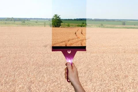 A hand washes the window Stock Photos