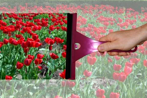 A hand washes the window Stock Photos