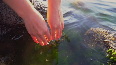 Hand washing at the beach on a sunset Stock Footage 161132099