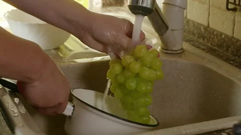 Hand washing green grapes in kitchen sink with running water Stock Footage 344729259