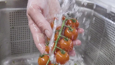Hand washing tomatoes Video stock 104664242