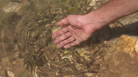 Hand in the water Video stock 228939896