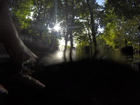 Hand in water in the forest Stock Photos