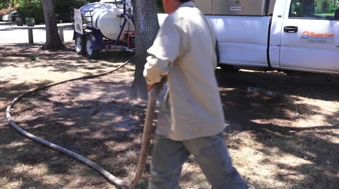 Hand watering trees in drought Video stock 51472403