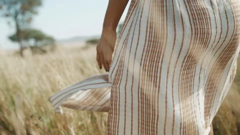 Hand in Wheat Field Stock Footage 123869064