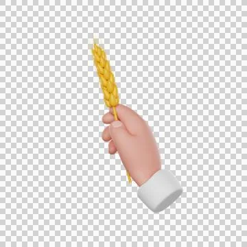 Hand with wheat Stock Illustration