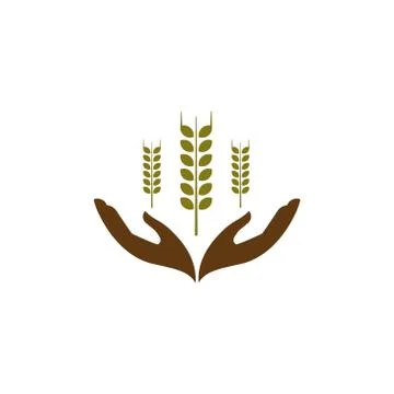 Hand wheat vector design template illustration Stock Illustration