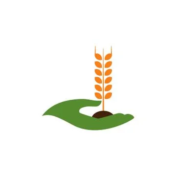 Hand wheat vector design template illustration Stock Illustration