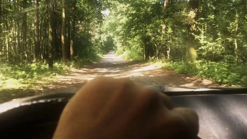Hand at the wheel, on a forest path - driver's point of view Stock-Footage 78744945