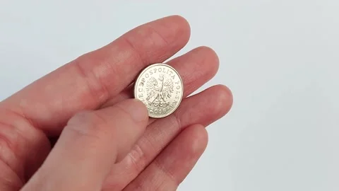 A hand on a white background holds a coin of twenty Polish pennies. Stock Footage 168125361