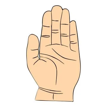 Hand on a white background Stock Illustration