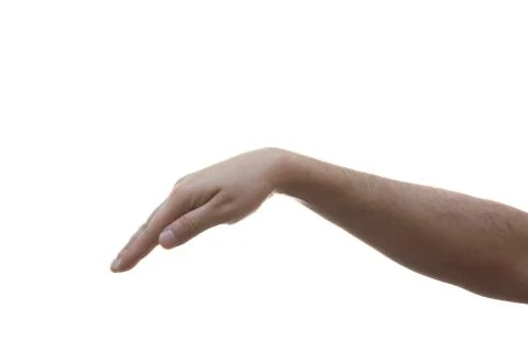 Hand on white background 스톡 사진